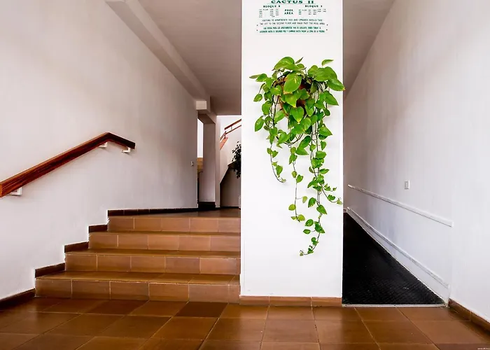 Apartmento Cactus Ii